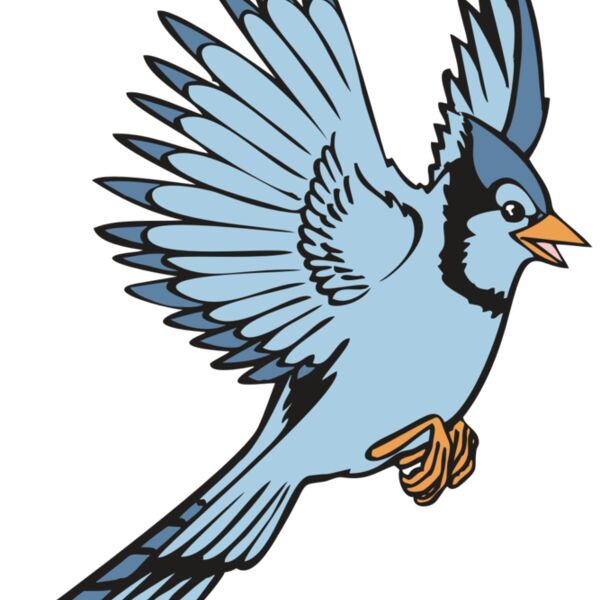 BAW BLUEJAY 12 RC Thumbnail