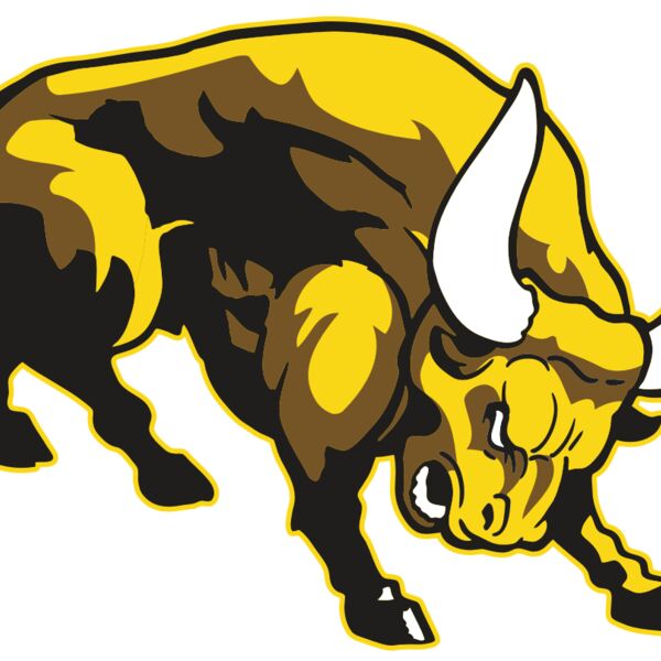 AR BULL 57 RC Thumbnail