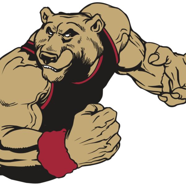 AR BEAR 40 RC Thumbnail