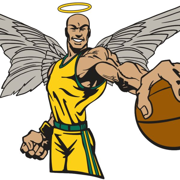 AR17 ANGEL BSKT 06 RQC Thumbnail