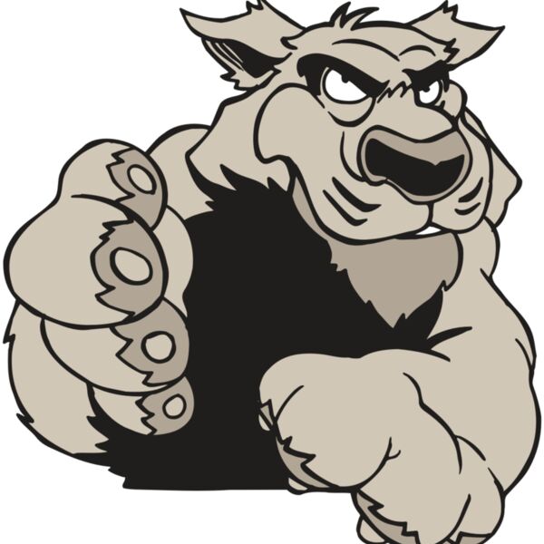 AR5 COUGAR 21 RQC Thumbnail