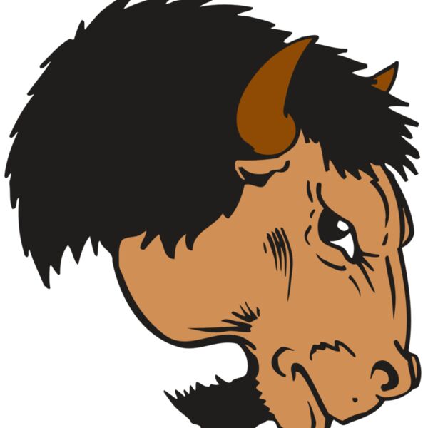 AR BUFFALO 16 RC Thumbnail