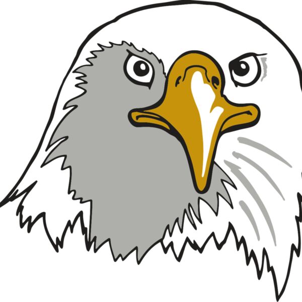 AR EAGLE 39 RC Thumbnail