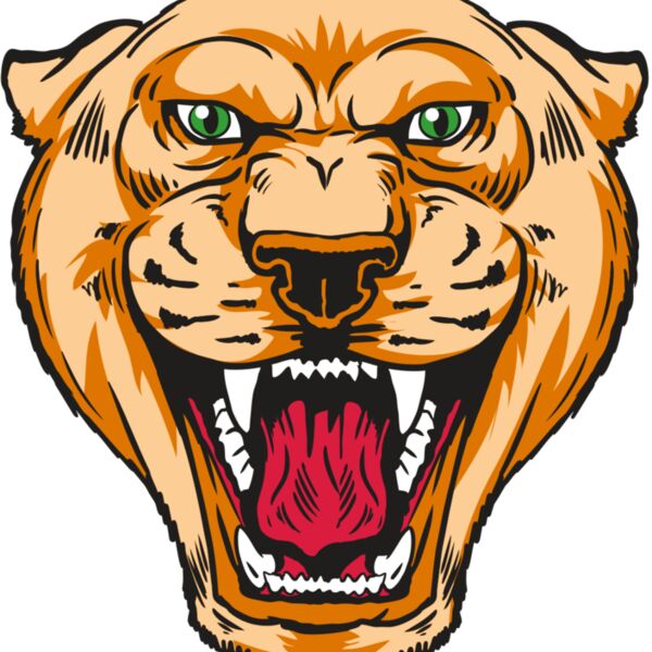 AR13 COUGAR 01 RQC Thumbnail