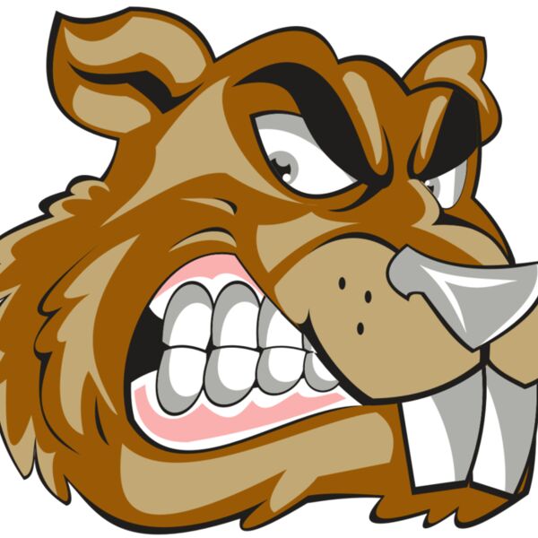 BEAVER HD0503 RQC Thumbnail