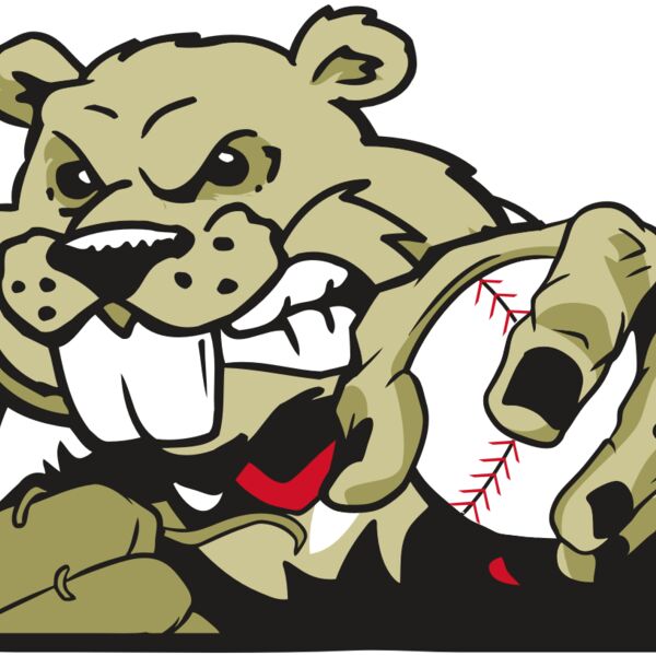 AR4 BEAVER 06 RQC Thumbnail