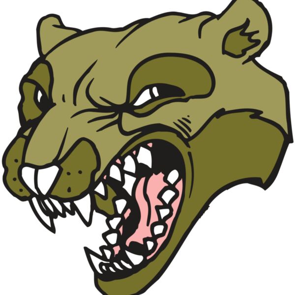 AR5 Wolverine 18 RQC Thumbnail