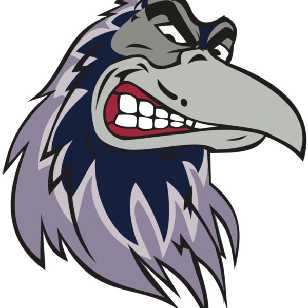 RAVEN HD0504 RQC Thumbnail