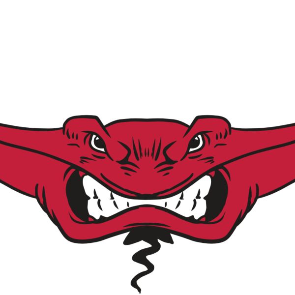 AR19 STINGRAY 03 RQC Thumbnail