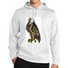 Sport Wick ® Fleece Hooded Pullover Thumbnail