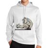 Sport Wick ® Fleece Hooded Pullover Thumbnail