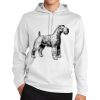Sport Wick ® Fleece Hooded Pullover Thumbnail