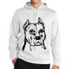 Sport Wick ® Fleece Hooded Pullover Thumbnail